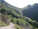 Javor - Monte Lavara (1906 m) Po cesti proti planini Ungarina in Confin, v ozadju planina Confin